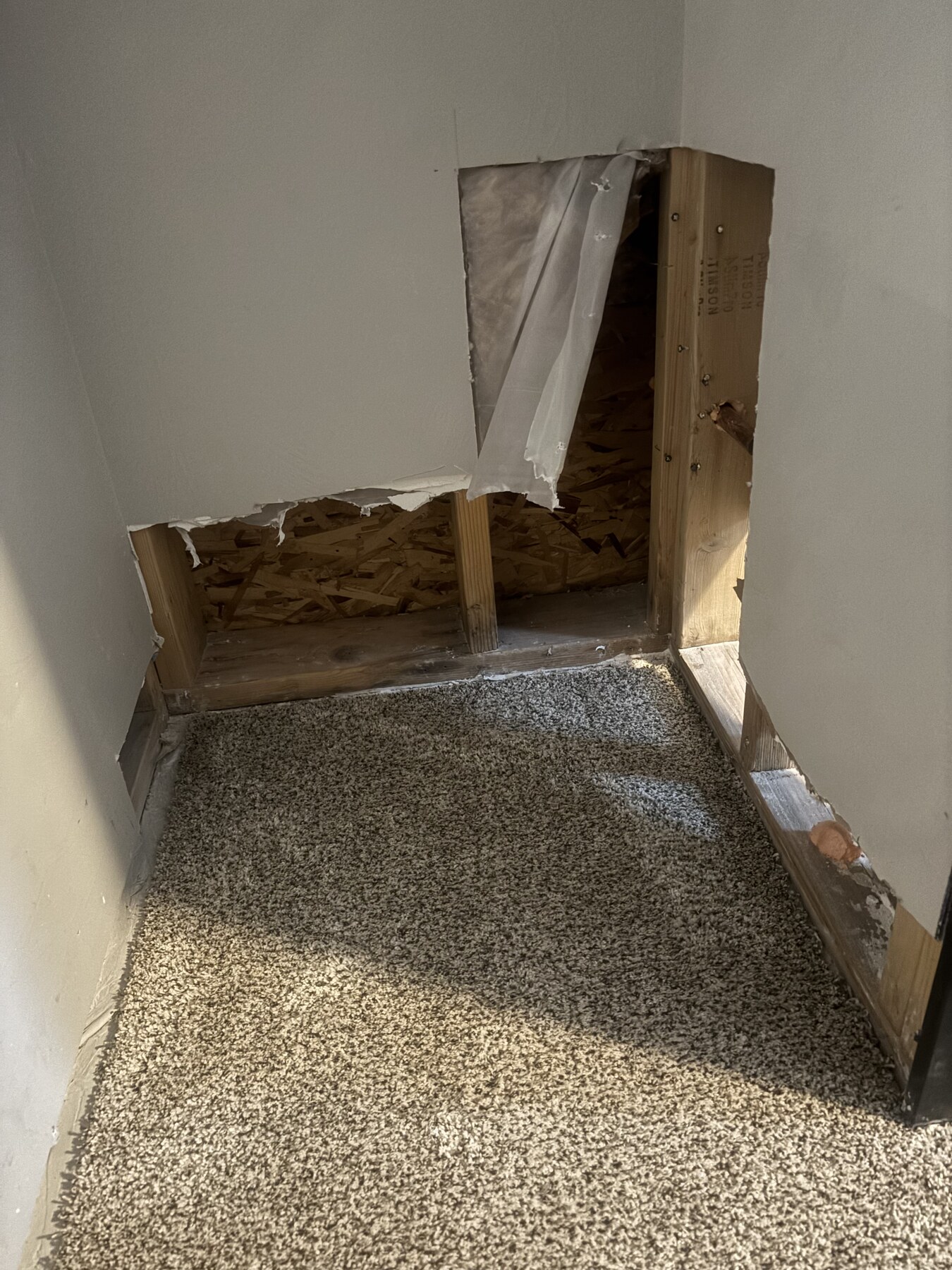 Stair Carpet Installation — S.S. Home Repairs project, Helena MT